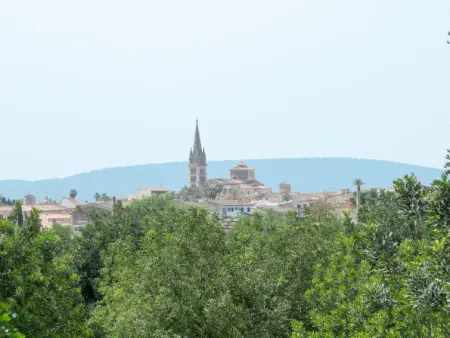 Can Salom, Maison 4 personnes à Binissalem - Photo 20