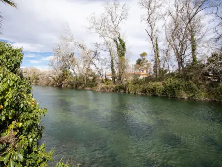 le flora, Appartement 6 personnes à Villeneuve Loubet - Photo 21