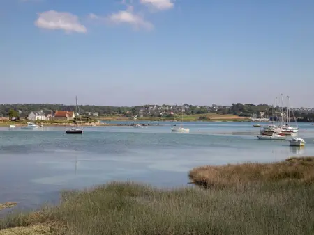Ker Vignan, Maison 6 personnes à Ile Grande - Photo 46