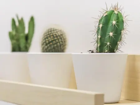 Appartement Charmant à Lisbonne - Proche du Campo de Ourique - Photo 20