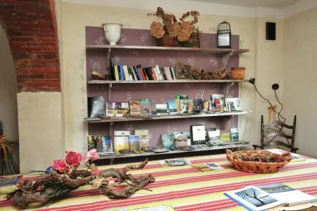 Zinie, Appartement 7 personnes à Castiglione del Lago - Photo 20