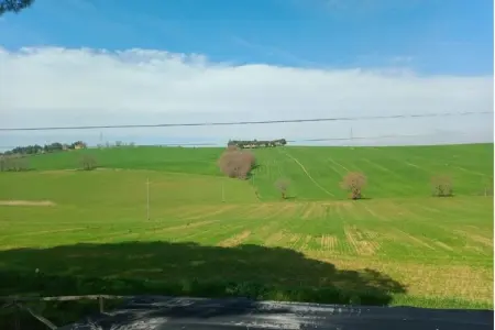 Zinie, Appartement 7 personnes à Castiglione del Lago - Photo 39