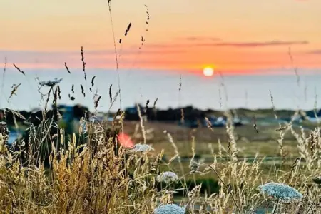 LE BASTIDON, Maison 4 personnes à BUISSON - Photo 35