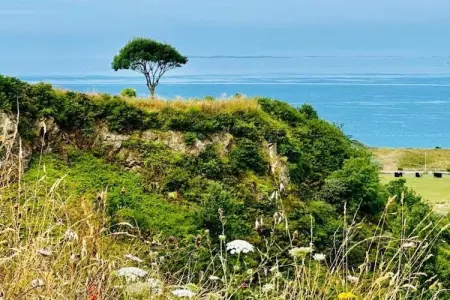 LE BASTIDON, Maison 4 personnes à BUISSON - Photo 37