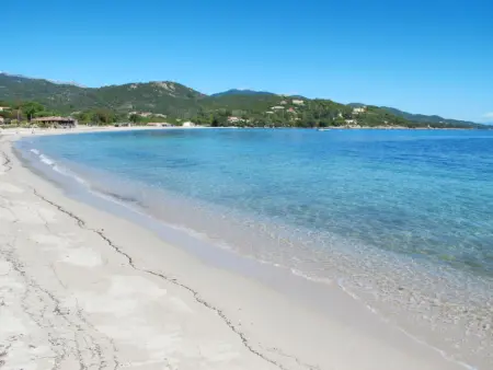 Residence Marina di Favone, T3, 4-6 pers, Appartement 6 personnes à Favone - Photo 28