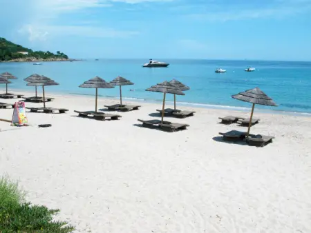 Residence Marina di Favone, T3, 4-6 pers, Appartement 6 personnes à Favone - Photo 30