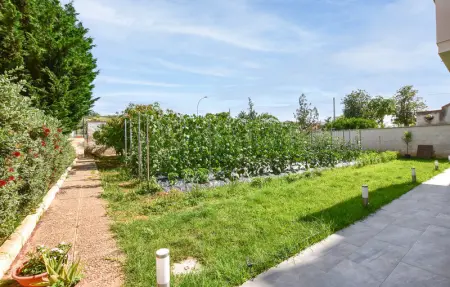 Location Appartement 6 personnes à Trappeto - Photo 6