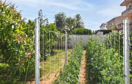 Location Appartement 6 personnes à Trappeto - Photo 19