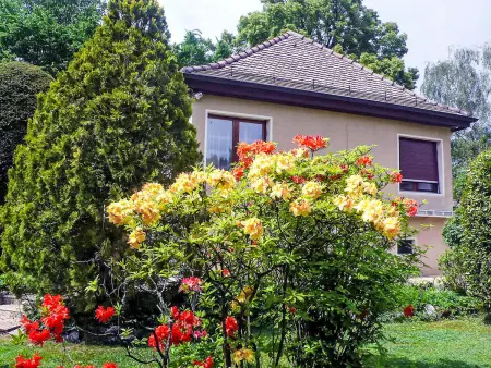 5, chemin de la Pralay, Maison 2 personnes à Genève - Photo 15