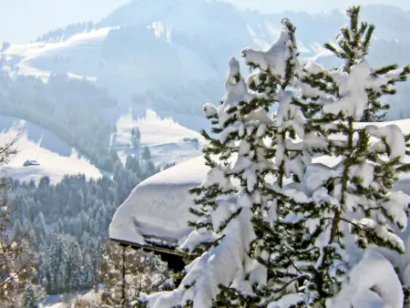 Chalet le Chamois, Chalet 6 personnes à Moléson sur Gruyères - Photo 19