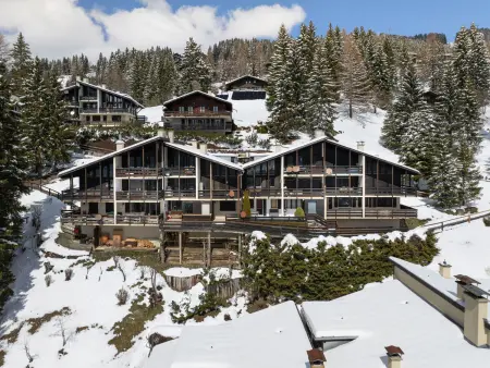 Les Arsets 01/203, Appartement 2 personnes à Alpe des Chaux - Photo 17