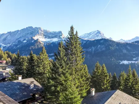 Arsets 203/12, Appartement 6 personnes à Alpe des Chaux - Photo 3