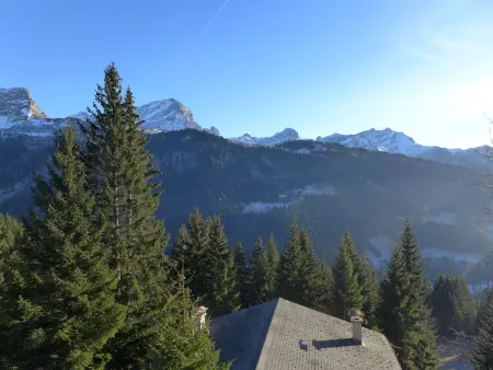 Arsets 203/12, Appartement 6 personnes à Alpe des Chaux - Photo 18