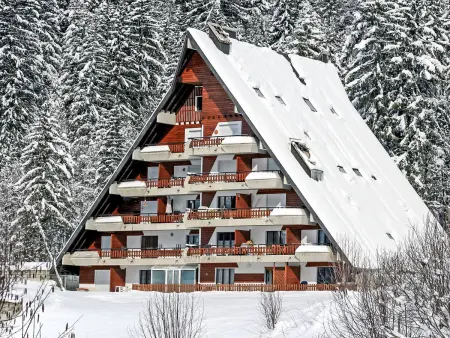 Anémone 2/16, Chalet 4 personnes à Gryon - Photo 1