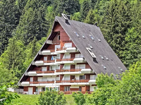 Anémone 2/16, Chalet 4 personnes à Gryon - Photo 15