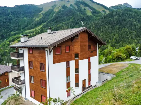 Hauts de Morthey No 33, Appartement 4 personnes à Ovronnaz - Photo 13