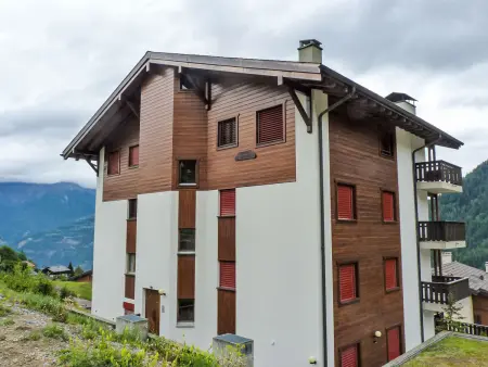 Hauts de Morthey No 33, Appartement 4 personnes à Ovronnaz - Photo 14