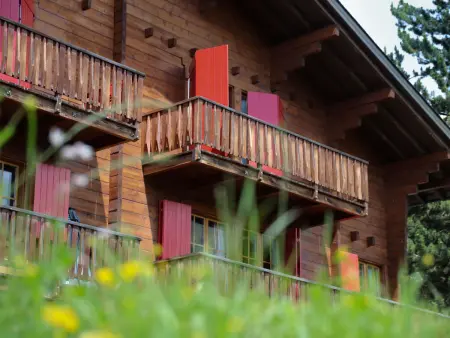 Rousserolles rez gauche, Appartement 4 personnes à Verbier - Photo 5