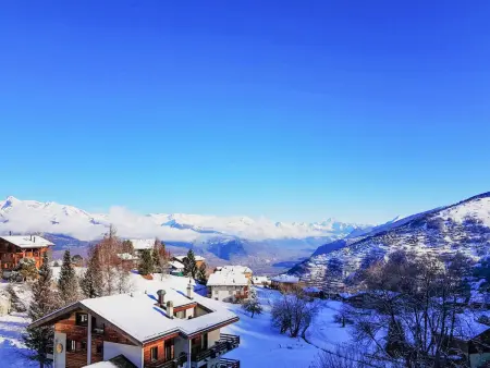 Arnica 16, Appartement 2 personnes à Nendaz - Photo 3