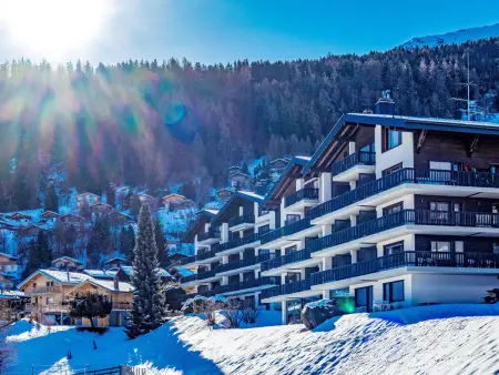 Arnica 16, Appartement 2 personnes à Nendaz - Photo 20