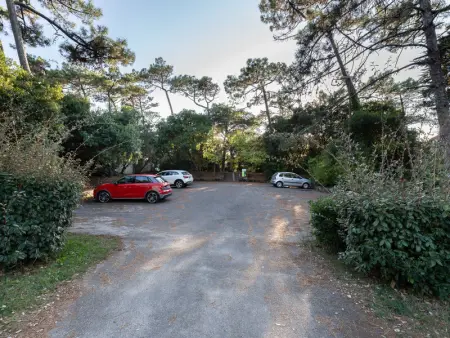Studio duplex sous la pinède près de la plage, terrasse, au calme et proche des activités, Seignosse - Photo 16