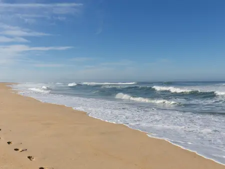 Studio duplex sous la pinède près de la plage, terrasse, au calme et proche des activités, Seignosse - Photo 18