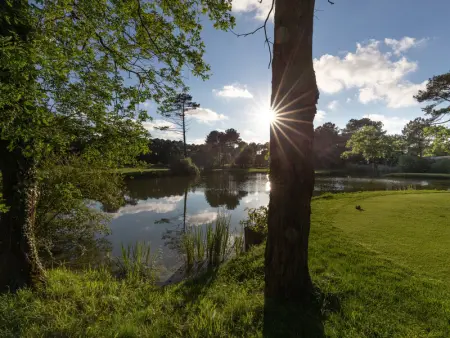 Studio duplex sous la pinède près de la plage, terrasse, au calme et proche des activités, Seignosse - Photo 19