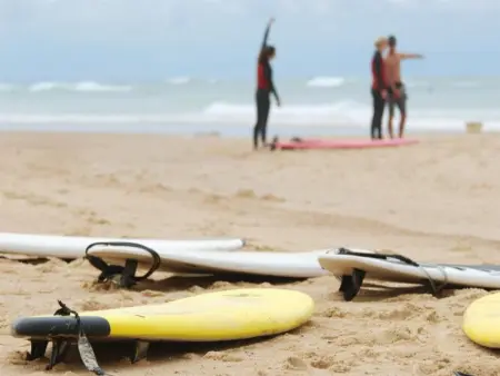 Maison moderne entre forêt et océan, avec jardin et terrasse. - Photo 14