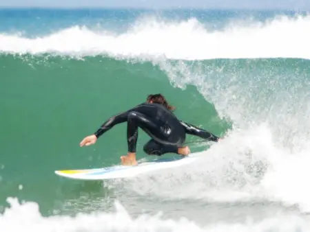 Maison moderne entre forêt et océan, avec jardin et terrasse. - Photo 16