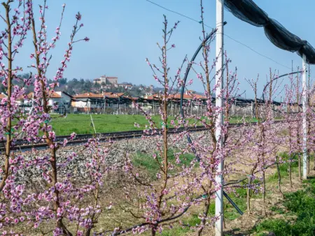 Da Marita, Maison 4 personnes à Verzuolo - Photo 30