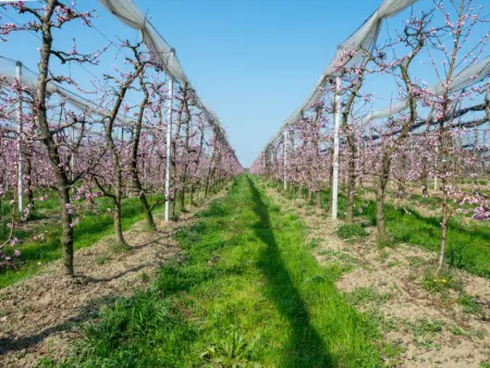Da Marita, Maison 4 personnes à Verzuolo - Photo 31