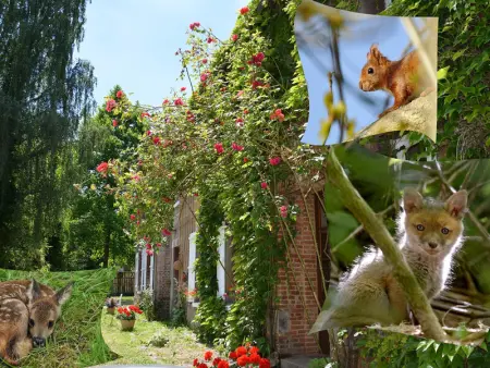 Appartement à Varneville Bretteville, Studio confortable à la campagne avec vue sur les animaux - L907469