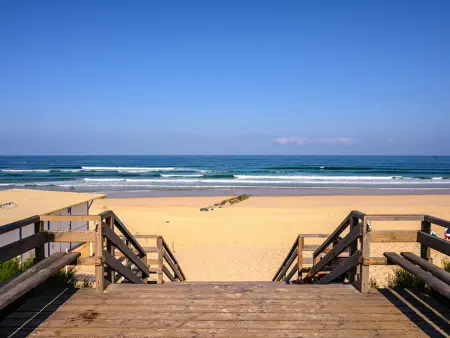 Appartement Neuf 3* à 100m de l'Océan avec Piscine pour 8 Personnes - Ménage Inclus - Photo 13