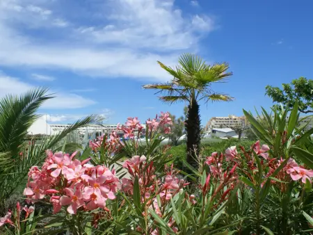 Appartement climatisé pour 2 avec piscine et parking sécurisé - Photo 9