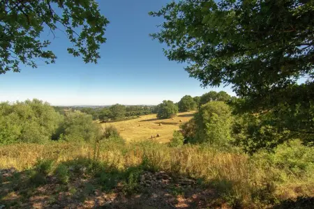 La Marguerite, Spacieux, confortable maison avec grande terrasse. - Photo 30