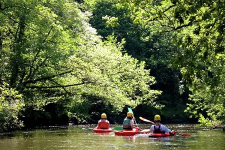 La Marguerite, Spacieux, confortable maison avec grande terrasse. - Photo 36