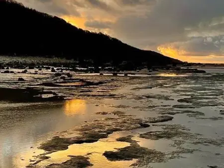 Studio cosy avec balcon à 50m de la plage, parking privatif - Photo 11