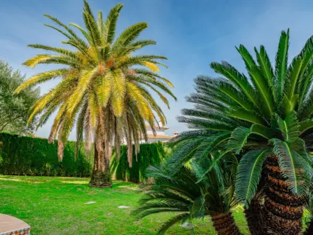 Villa Fili, Maison 5 personnes à Dénia - Photo 26