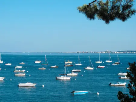 Villa des écureuils, Villa 10 personnes à Lanton - Photo 27