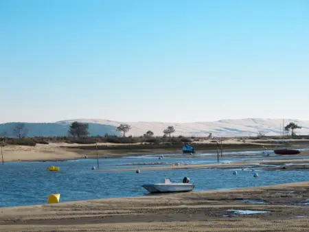 Villa des écureuils, Villa 10 personnes à Lanton - Photo 31