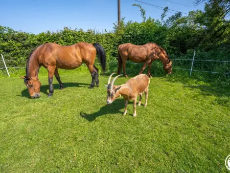Gîte familial avec jardin, proche nature, idéal pour randonneurs et séjours reposants en Picardie Verte - Photo 11