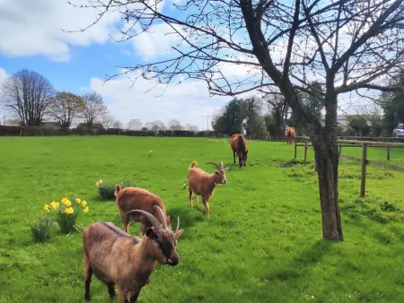 Gîte familial avec jardin, proche nature, idéal pour randonneurs et séjours reposants en Picardie Verte - Photo 29