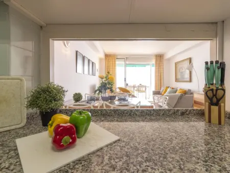 Appartement en bord de mer avec terrasse, climatisation et WiFi à La Pineda - Photo 8