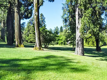 Villa Camelia, Maison 6 personnes à Porto Valtravaglia - Photo 28