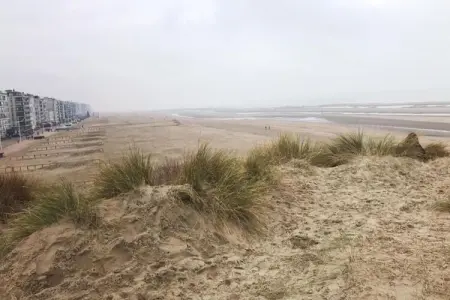 Ter panne 103, Appartement 4 personnes à Koksijde - Photo 22