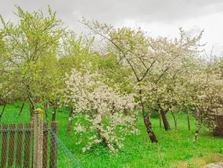 Maison de charme avec jardin, cheminée et climatisation à 15 min de Troyes - Photo 19