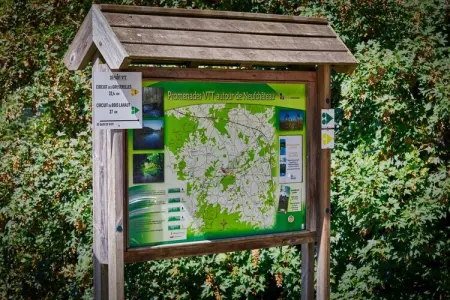 Hillview Resort Grandvoir 2, Maison 4 personnes à Neufchâteau - Photo 36