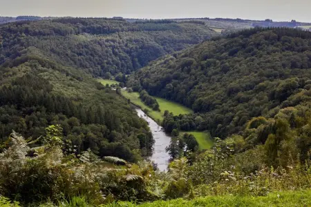Hillview Resort Grandvoir 3, Maison 6 personnes à Neufchâteau - Photo 36