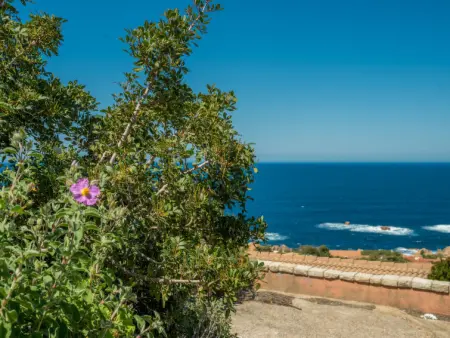 Villa Ilaria, Maison 6 personnes à Costa Paradiso - Photo 29