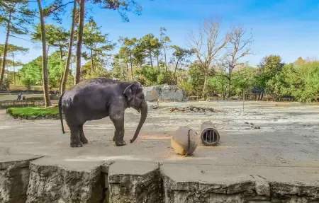 Location Maison 6 personnes à Médis - Photo 29